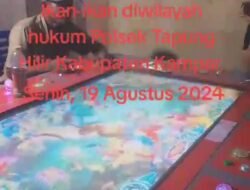 Judi Tembak Ikan-Ikan Illegal Marak Diwilayah Hukum Polres Kampar.