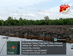 Pembabatan Hutan Mangrove Di Kepulauan Meranti: Mantan Anggota DPRD Diduga Terlibat, Aparat Penegak Hukum Harus Segera Bertindak
