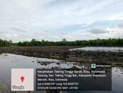 Mantan Anggota DPRD Kabupaten Kepulauan Meranti Mangkir Dari Panggilan Polisi Terkait Pembabatan Hutan Mangrove, Penanganan Kasus Mandek