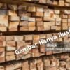 Sawmill Ilegal Marak di Bengkalis, DPD LIBAS Desak Penegak Hukum Bertindak Tegas