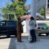 Diduga Garap Insentif BPJS Pegawai RSUD Masyarakat Minta Kejari Labusel Periksa Direktur RSUD