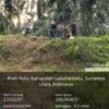 Penyelidikan Dugaan Pencemaran Limbah PT GSL di Labusel Berlanjut Ke Polda Sumut, Masyarakat Minta Tutup Perusahaan
