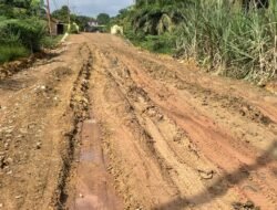 Diduga Sarat KKN, Proyek Pengerasan Jalan di Desa Tanjung Mulia Jadi Sorotan