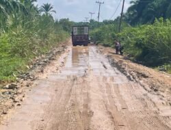 Baru Sebulan Hancur, Janji Bupati Terkubur di Tanah Kuning? Pengerasan Jalan Desa Tanjung Mulia Labusel Amburadul
