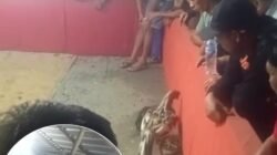 Perjudian Dadu dan Sabung Ayam di Wilayah Polsek Sagulung jadi Sorotan Publik