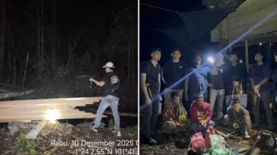 Polres Bengkalis Bekuk Tiga Pelaku Illegal Logging di Dusun Air Raja
