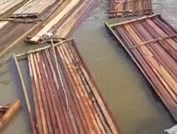 Video Dugaan Kayu Ilegal di Pelabuhan Desa Dedap Beredar, Aparat Diminta Bertindak Tegas