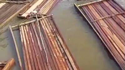 Video Dugaan Kayu Ilegal di Pelabuhan Desa Dedap Beredar, Aparat Diminta Bertindak Tegas
