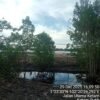 Diduga Buang Limbah ke Sungai, Kolam Udang di Sungai Batang Ancam Mata Pencaharian Nelayan