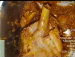 Breaking News, Diduga Sajikan Makanan Berulat, Program MBG di SD 078440 Lolomboli Tuai Sorotan