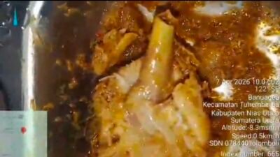 Breaking News, Diduga Sajikan Makanan Berulat, Program MBG di SD 078440 Lolomboli Tuai Sorotan