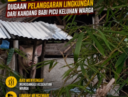 Ketua BPD Desa Beting Disorot, Dugaan Pelanggaran Lingkungan dari Kandang Babi Picu Keluhan Warga Pihak Berwenang Diminta Bertindak