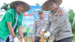 Polres Meranti Ikuti Panen Raya Jagung Nasional dan Launching Program Ketahanan Pangan Polri