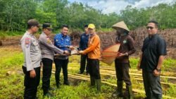 DUKUNG KETAHANAN PANGAN, KAPOLSEK BENGKALIS GANDENG PEMDES KELEBUK DORONG BUDIDAYA JAGUNG PIPIL