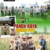PANEN RAYA JAGUNG PIPIL DESA SENGGORO, POLRI HADIR SEBAGAI PEMRAKARSA KEMANDIRINAN EKONOMI LOKAL*