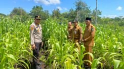 Sukseskan Ketahanan Pangan, Polsek Bengkalis Cek Sumber Air Siapkan Lahan Jagung Pipil di Kuala Alam*