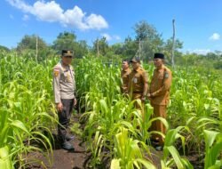 Sukseskan Ketahanan Pangan, Polsek Bengkalis Cek Sumber Air Siapkan Lahan Jagung Pipil di Kuala Alam*