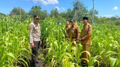 Sukseskan Ketahanan Pangan, Polsek Bengkalis Cek Sumber Air Siapkan Lahan Jagung Pipil di Kuala Alam*