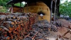 Penutupan Panglong Arang di Meranti Picu Polemik, Pengawasan Instansi Terkait Dipertanyakan