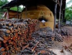 Penutupan Panglong Arang di Meranti Picu Polemik, Pengawasan Instansi Terkait Dipertanyakan