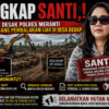 TANGKAP SANTI,,! TIM LIBAS DESAK POLRES MERANTI SIKAT DALANG PEMBALAKAN LIAR DI DESA DEDAP