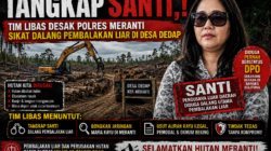 TANGKAP SANTI,,! TIM LIBAS DESAK POLRES MERANTI SIKAT DALANG PEMBALAKAN LIAR DI DESA DEDAP