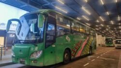 UMKM Aceh: KUR Tertinggi Pasca-Bencana