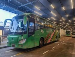 UMKM Aceh: KUR Tertinggi Pasca-Bencana