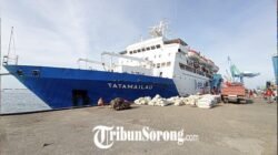Jadwal KM Labobar & Tatamailau Dobo-Tual Juni 2026