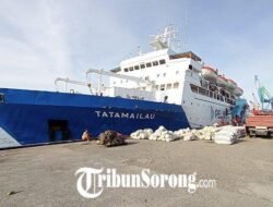 Jadwal KM Labobar & Tatamailau Dobo-Tual Juni 2026