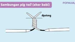7 Langkah Aman Sambung Kabel Listrik