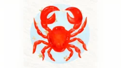 Ramalan Zodiak Cancer 2 Juni 2026: Cinta, Karir, Kesehatan, Keuangan