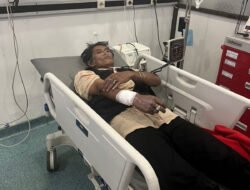 Asep Bertaruh Nyawa Selamatkan Ular Sanca Bandung
