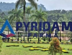 PYFA Raup Rp766 M di Kuartal I