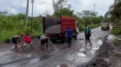 Gempa Kaltara Terasa Hingga Pulang Pisau, Warga Batara Viral Tambal Jalan