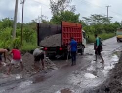 Gempa Kaltara Terasa Hingga Pulang Pisau, Warga Batara Viral Tambal Jalan
