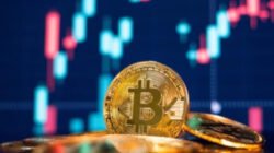 Bitcoin Anjlok ke US$ 67 Ribu, Terendah Sejak April