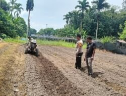 DUKUNG PROGRAM KETAHANAN PANGAN NASIONAL, POLSEK BENGKALIS TINJAU PERSIAPAN LAHAN JAGUNG*