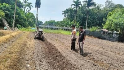 DUKUNG PROGRAM KETAHANAN PANGAN NASIONAL, POLSEK BENGKALIS TINJAU PERSIAPAN LAHAN JAGUNG*