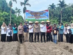 Dukung Swasembada Pangan, Polsek Bengkalis Gelar Aksi Penanaman Jagung Pipil Serentak di Desa Kuala Alam*