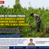 Polsek Bengkalis Lakukan Perawatan Berkala Lahan Jagung Pipil di Desa Senggoro untuk Dukung Ketahanan Pangan