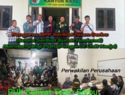 PELANGGARAN TERBUKA & SISTEMATIS: PT SJI COY KEBUN KOTA TENGAH ROKAN HULU DIDUGA MEMANIPULASI STATUS PEKERJA