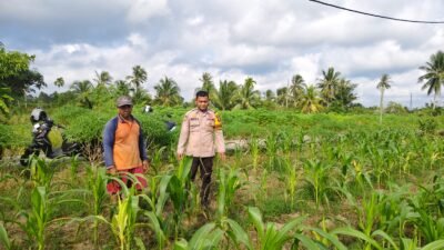 POLSEK TEBING TINGGI BARAT LAKUKAN PEMBINAAN PETANI DESA PADANG KAMAL.
