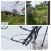 Penyebab Kendala Mati Lampu Kembali, Berakibat Dua Buah Tiang PLN Tumbang Dan Binatang Nyentuh Jaringan