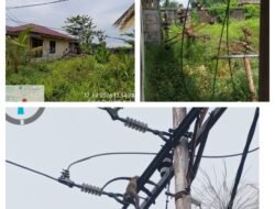 Penyebab Kendala Mati Lampu Kembali, Berakibat Dua Buah Tiang PLN Tumbang Dan Binatang Nyentuh Jaringan