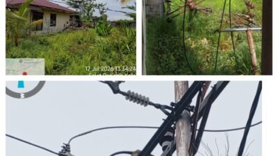 Penyebab Kendala Mati Lampu Kembali, Berakibat Dua Buah Tiang PLN Tumbang Dan Binatang Nyentuh Jaringan