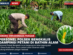 Sokong Swasembada Pangan, Personel Polsek Bengkalis Turun Dampingi Petani Jagung di Bathin Alam