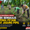 Wujudkan Swasembada Pangan, Polsek Bengkalis Dampingi Petani Rawat Jagung Pipil di Desa Kuala Alam