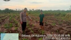 Polsek Tebing Tinggi Barat Lakukan Pembinaan Petani Jagung Manis Dukung Ketahanan Pangan