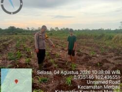 Polsek Tebing Tinggi Barat Lakukan Pembinaan Petani Jagung Manis Dukung Ketahanan Pangan